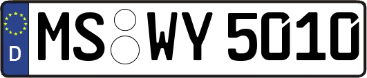 MS-WY5010