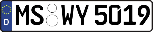MS-WY5019