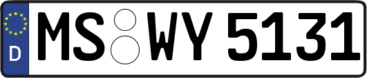 MS-WY5131