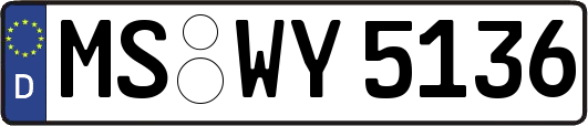 MS-WY5136