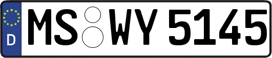 MS-WY5145