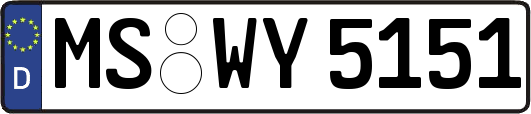 MS-WY5151
