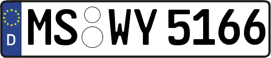 MS-WY5166