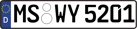 MS-WY5201