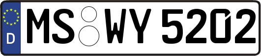 MS-WY5202
