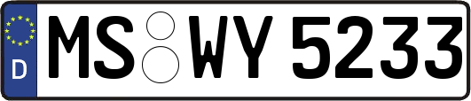MS-WY5233