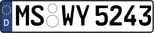 MS-WY5243