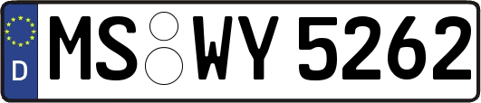MS-WY5262