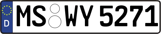 MS-WY5271