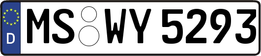 MS-WY5293