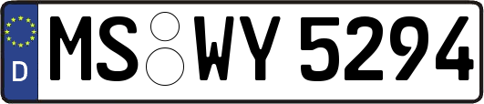 MS-WY5294