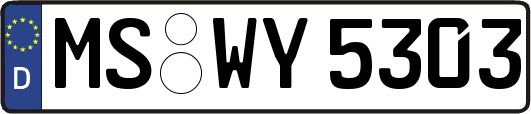 MS-WY5303