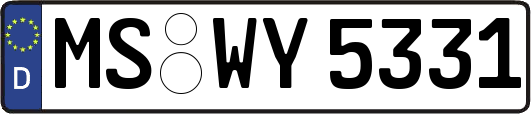 MS-WY5331