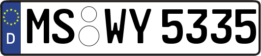 MS-WY5335