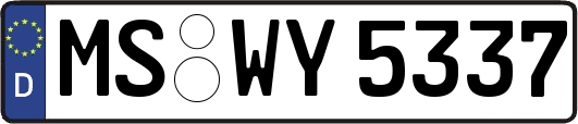 MS-WY5337