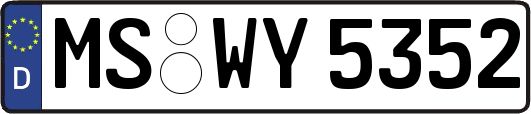 MS-WY5352