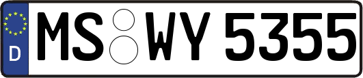 MS-WY5355