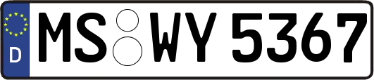 MS-WY5367