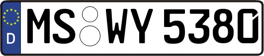 MS-WY5380