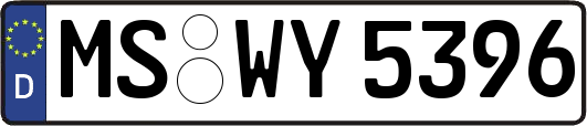 MS-WY5396
