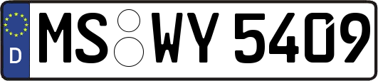 MS-WY5409