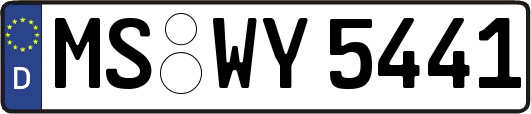 MS-WY5441