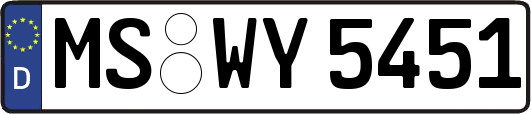 MS-WY5451