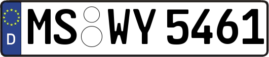 MS-WY5461