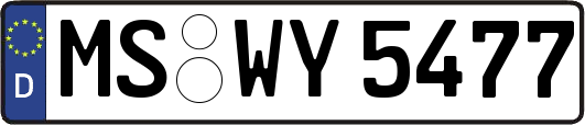MS-WY5477