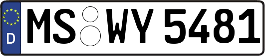 MS-WY5481