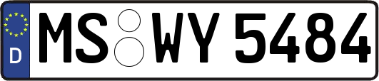 MS-WY5484