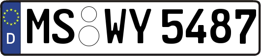MS-WY5487