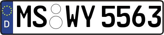MS-WY5563