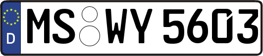 MS-WY5603