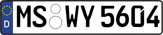 MS-WY5604