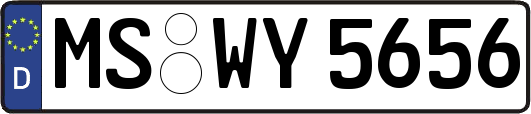 MS-WY5656