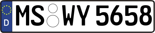 MS-WY5658