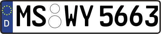 MS-WY5663