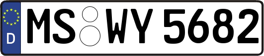 MS-WY5682