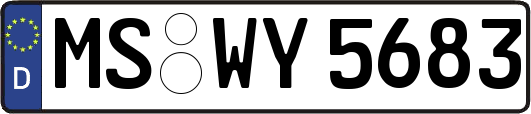 MS-WY5683