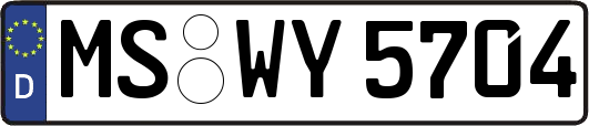 MS-WY5704