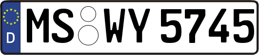 MS-WY5745