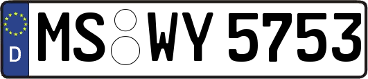 MS-WY5753