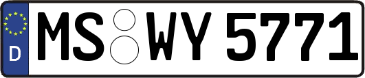 MS-WY5771