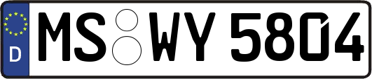 MS-WY5804