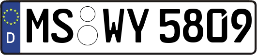 MS-WY5809