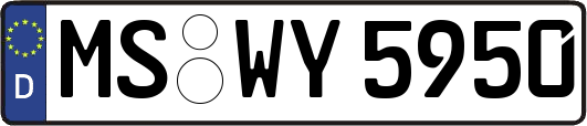 MS-WY5950