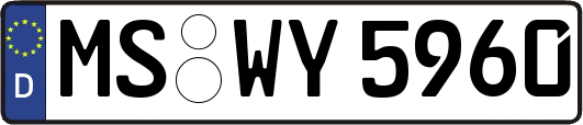 MS-WY5960