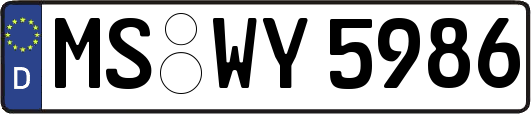 MS-WY5986