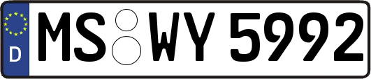 MS-WY5992